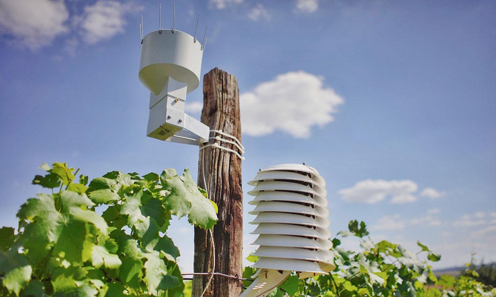 Sensors in Smart Farming: How They Operate and Their Significance