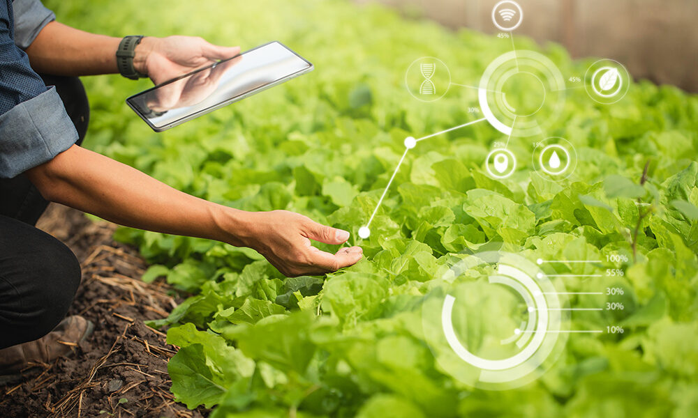 Embracing Sustainable Agriculture: Harnessing IoT for Environmental Advantages